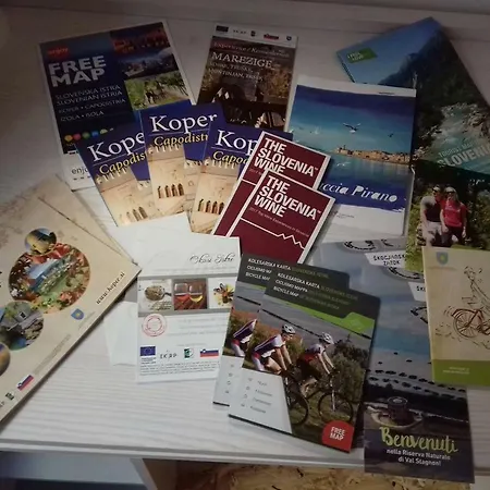 Vse Kontenti *